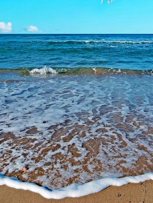 沙滩海浪 Wallpaper