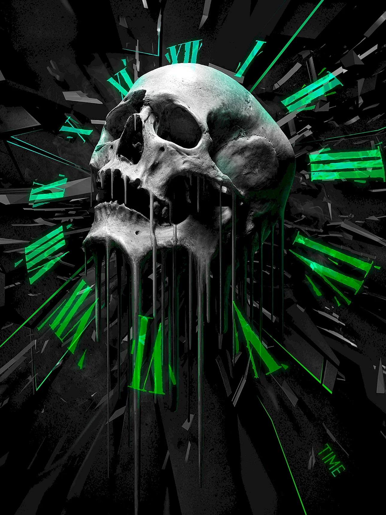 1440x2560 Skull Wallpaper For iPhone