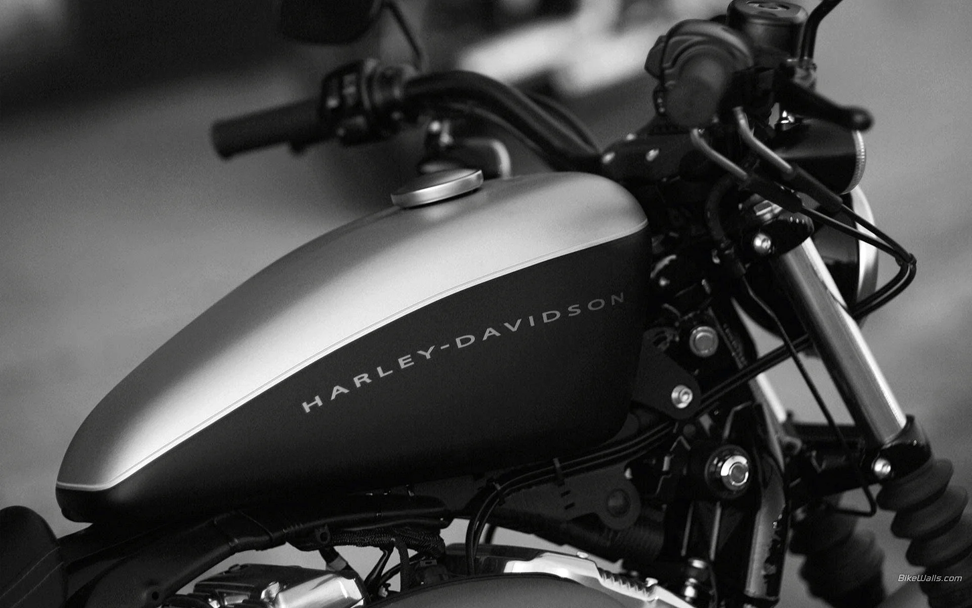 2010 Hd Nightster Xl1200n Wallpaper