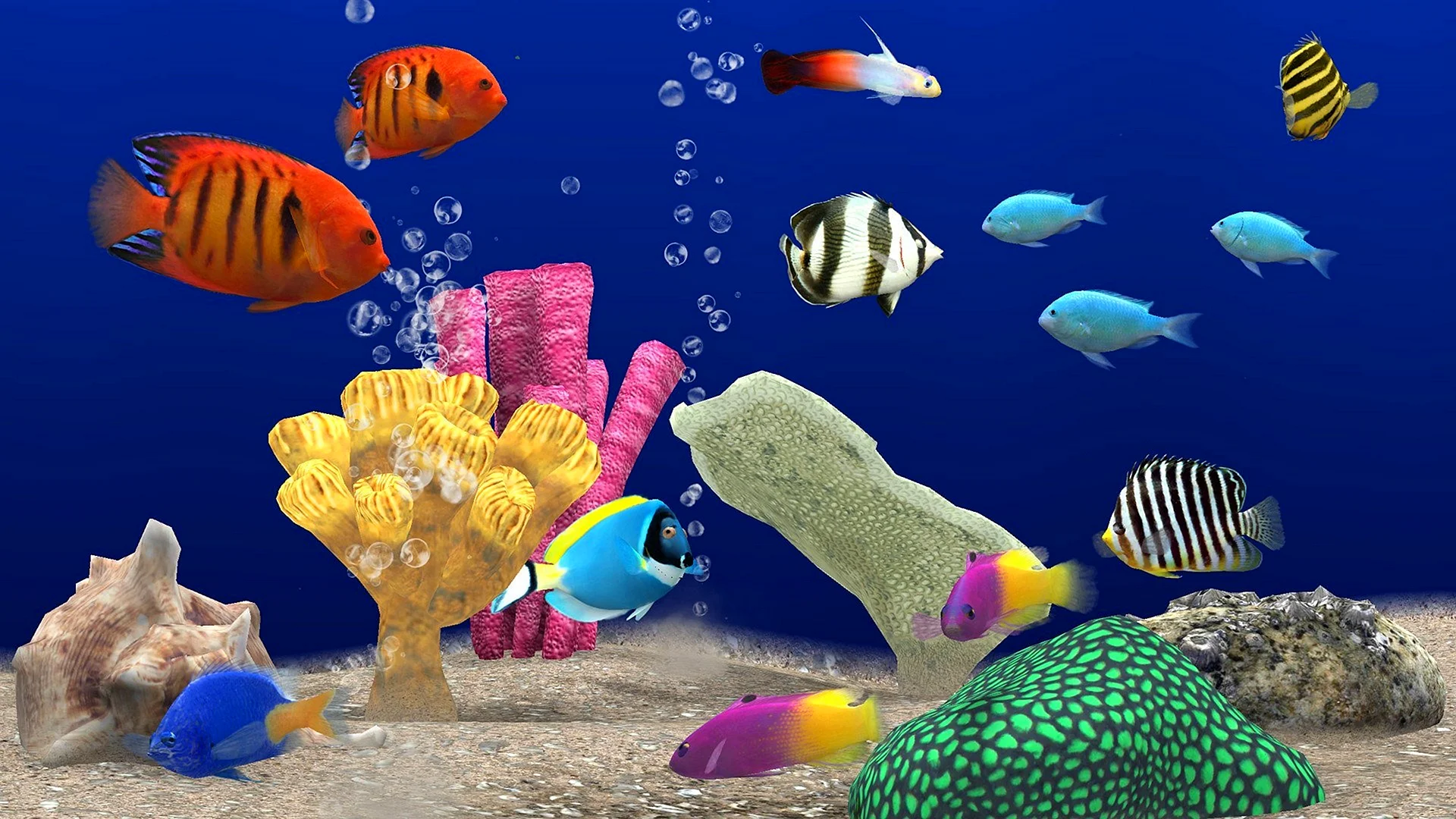 3d Aquarium Wallpaper