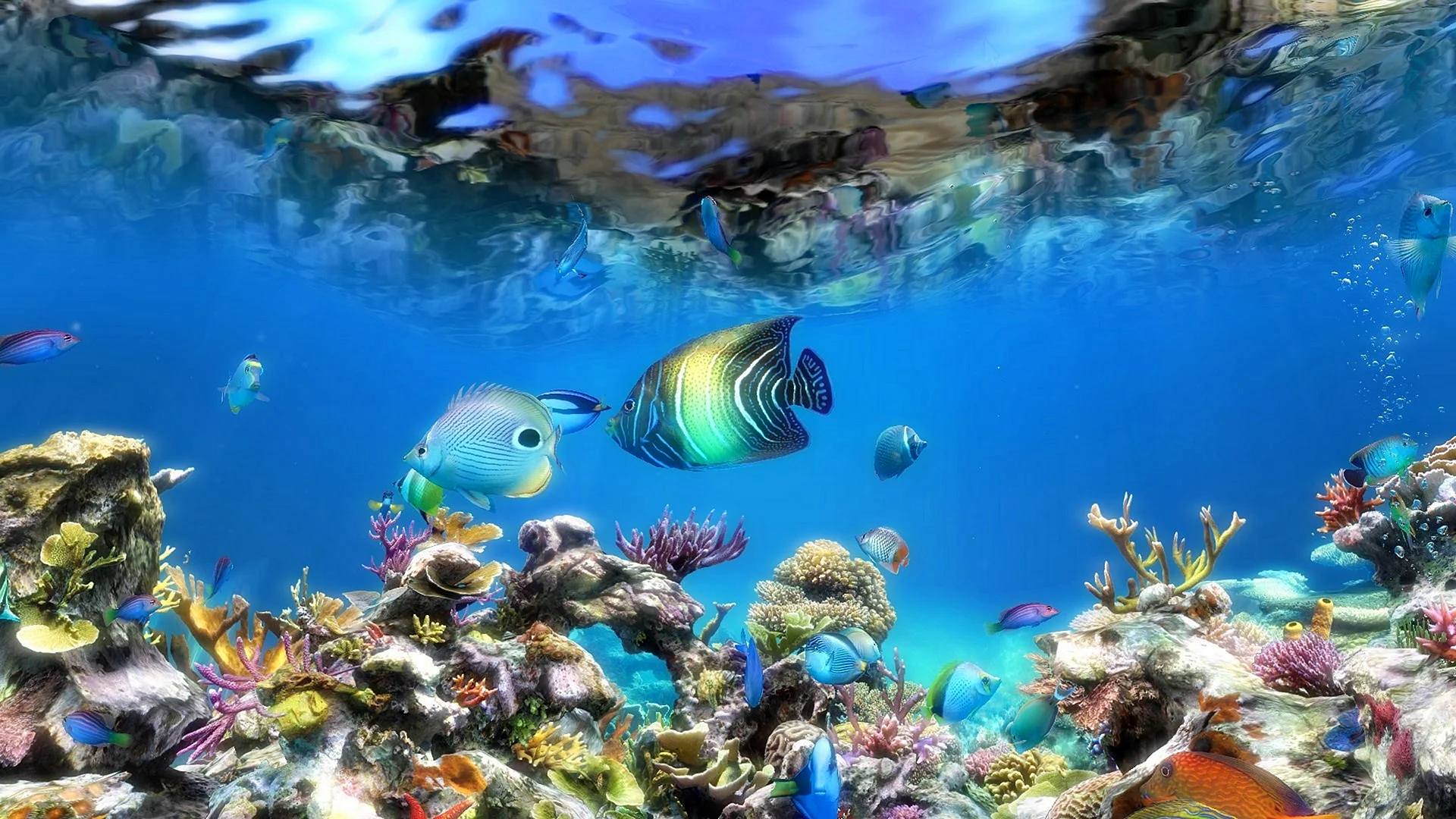 3D Aquarium Wallpaper