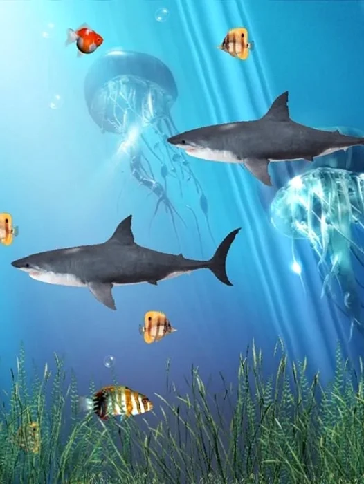 3d Aquarium Live HD Wallpaper