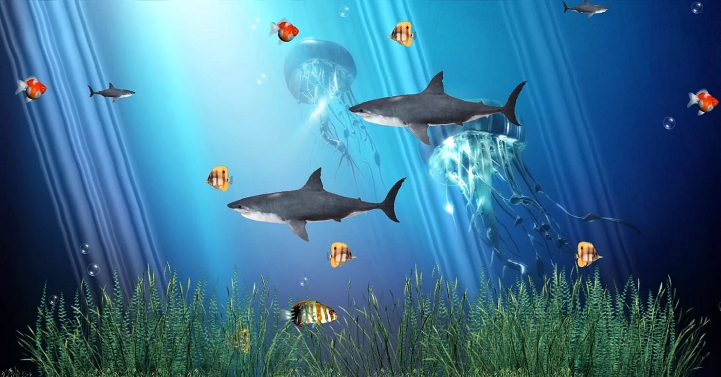3d Aquarium Live HD Wallpaper