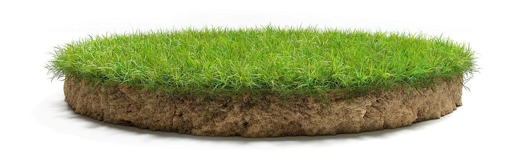 3D Grass Wallpaper