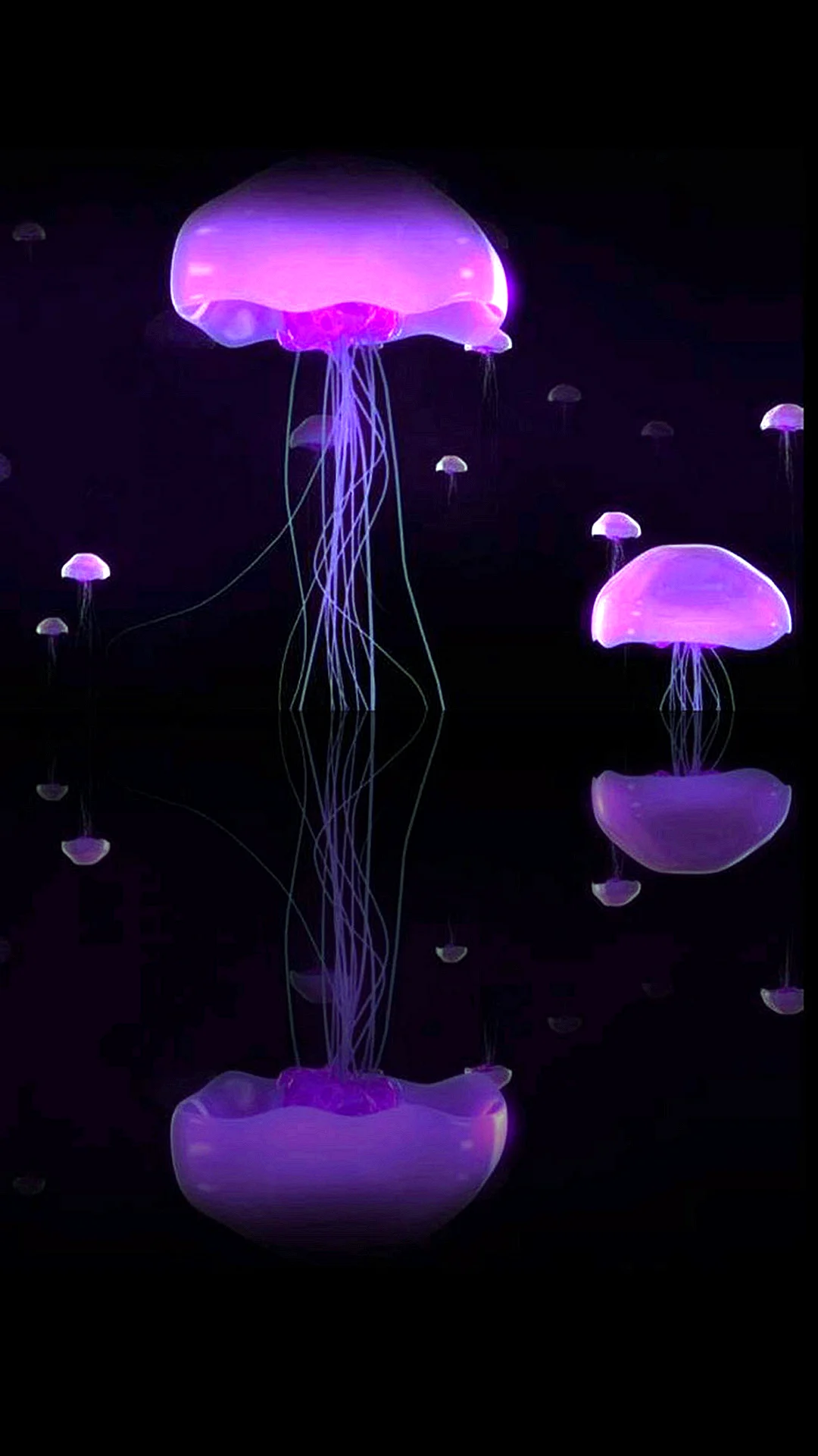 3d Mushroom Wallpaper For iPhone