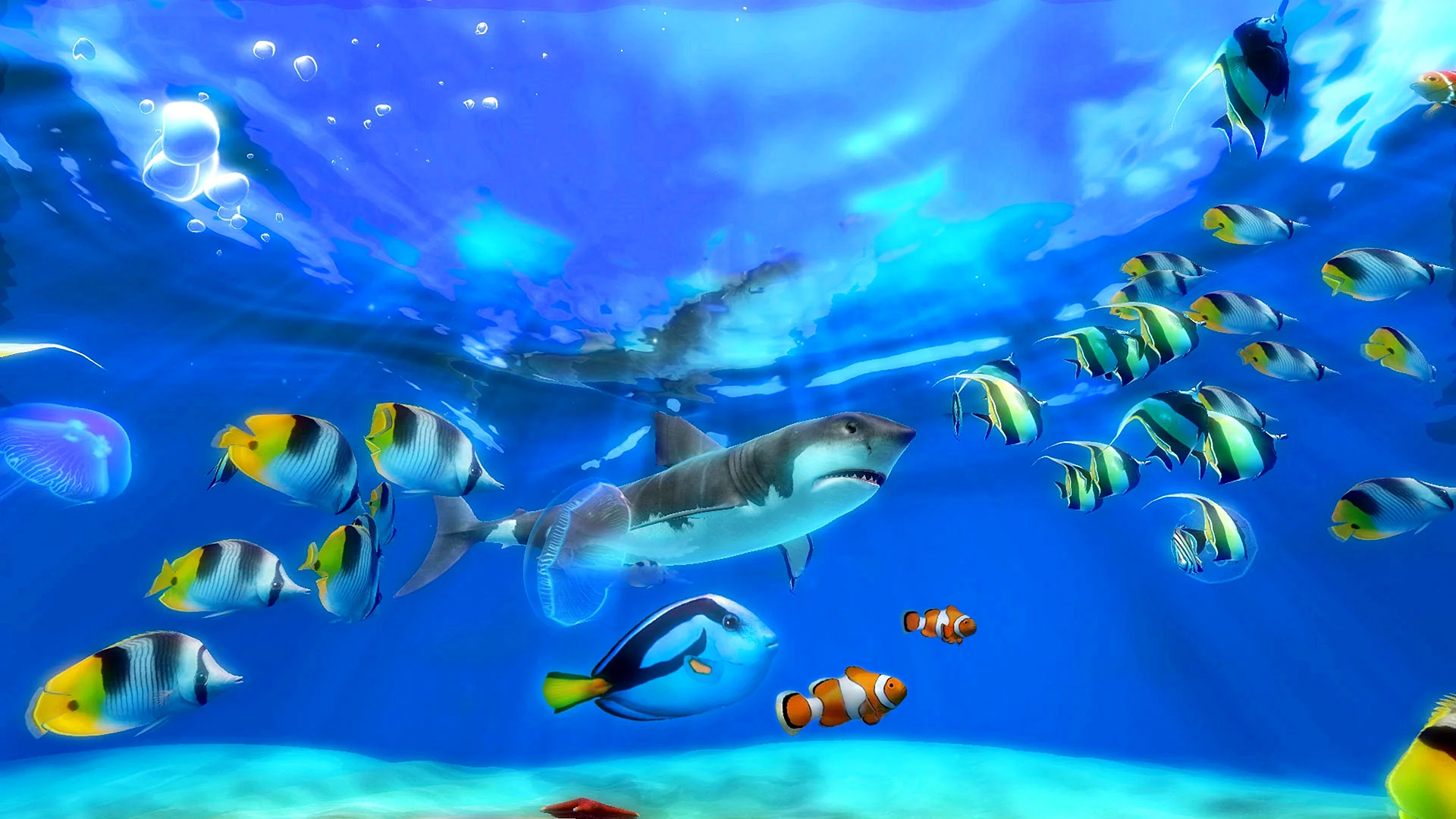 3d Aquarium Wallpaper
