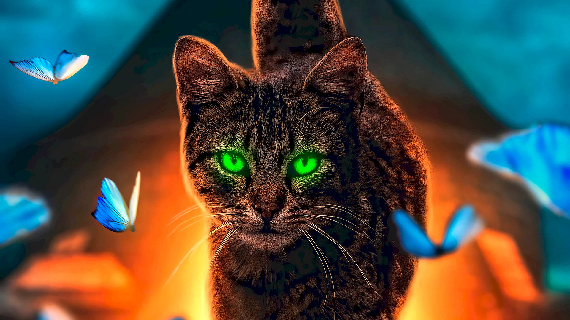 4K Cat Wallpaper