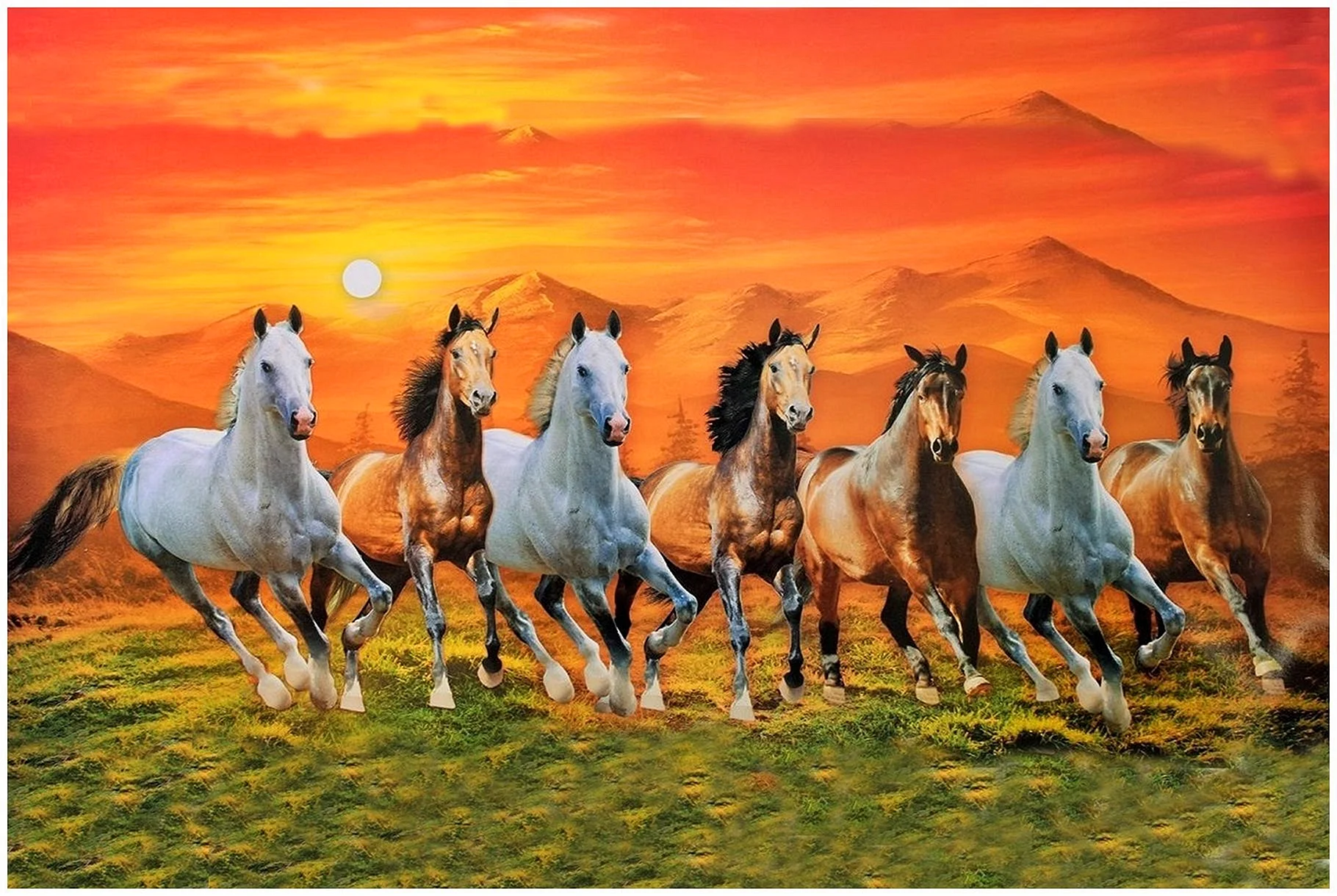 7 Horse Wallpaper