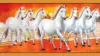 7 White Horse Painting Wallpaper