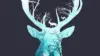 Abstract Deer Wallpaper For iPhone