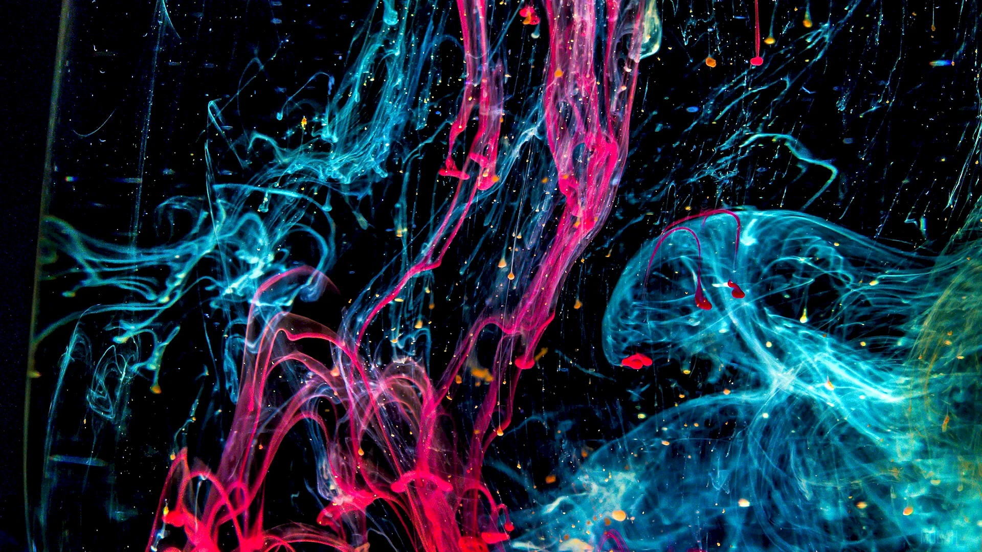 Abstract Neon 4k Wallpaper