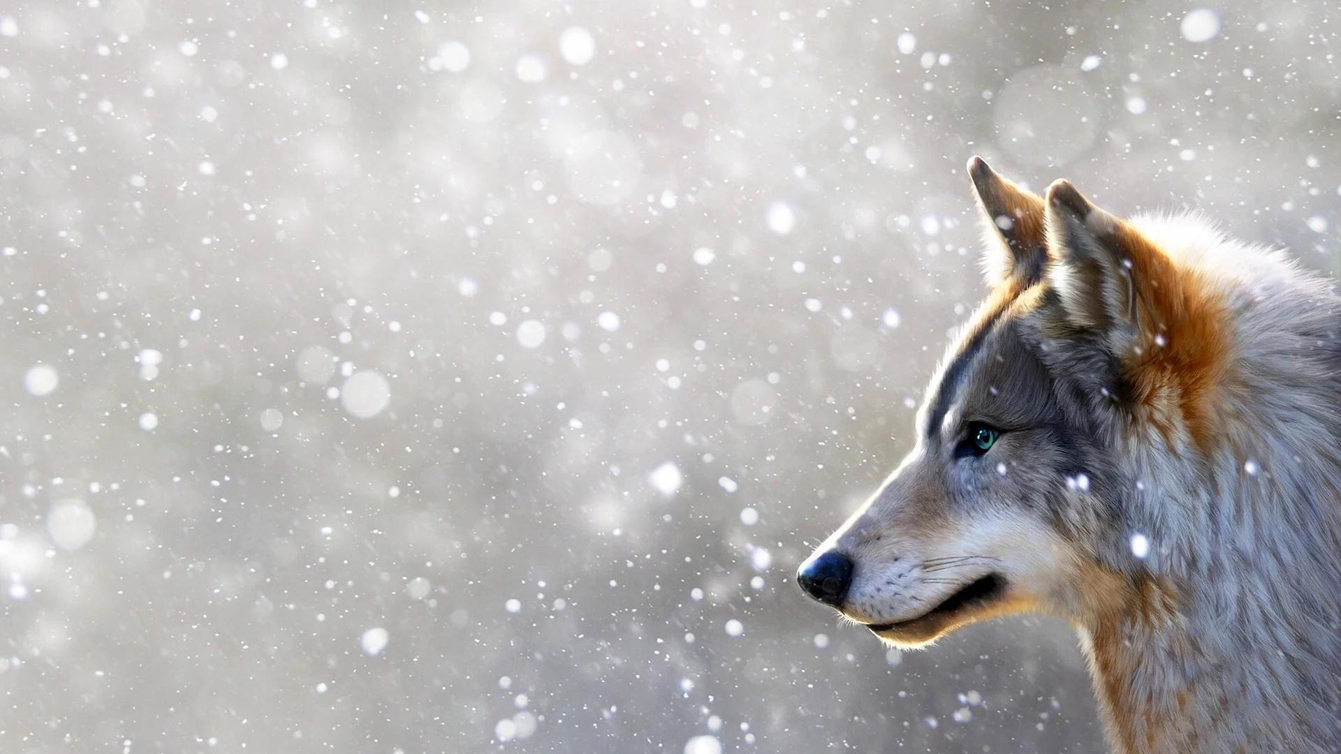 Abstract Wolf Wallpaper