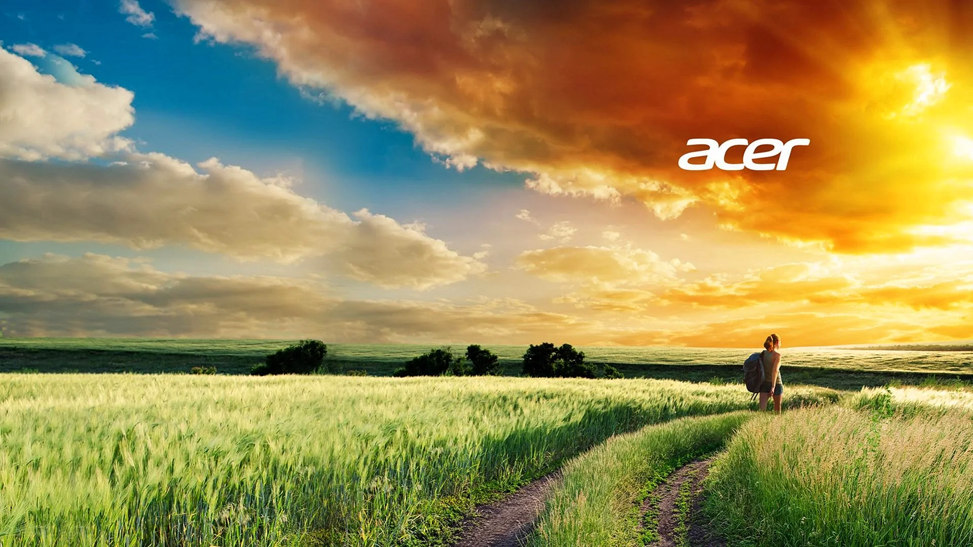 Acer Wallpaper