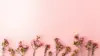 Aesthetic Background Flower Wallpaper