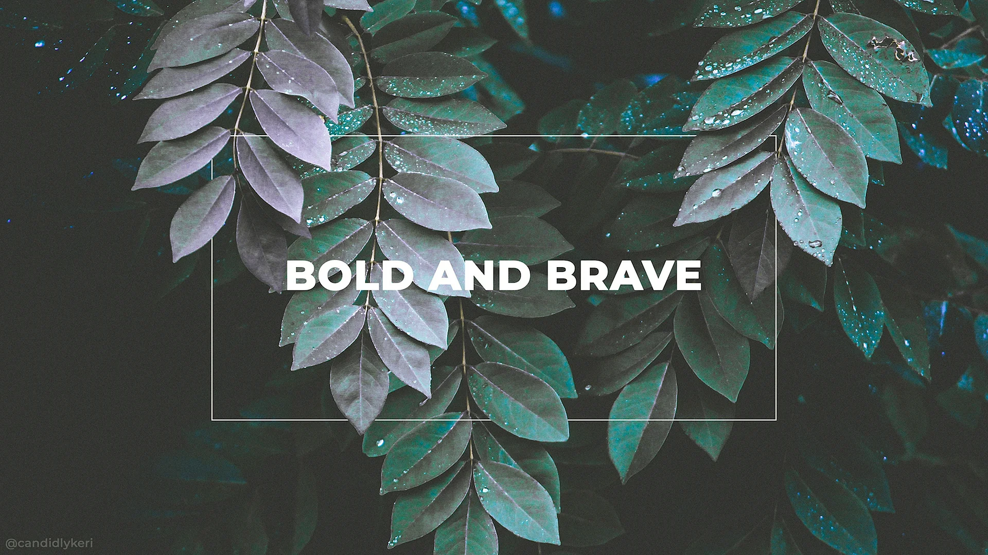 Aesthetic Leaf Wallpaper