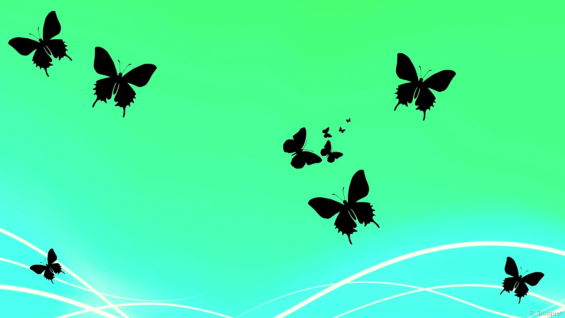 Aesthetic Butterfly Wallpaper