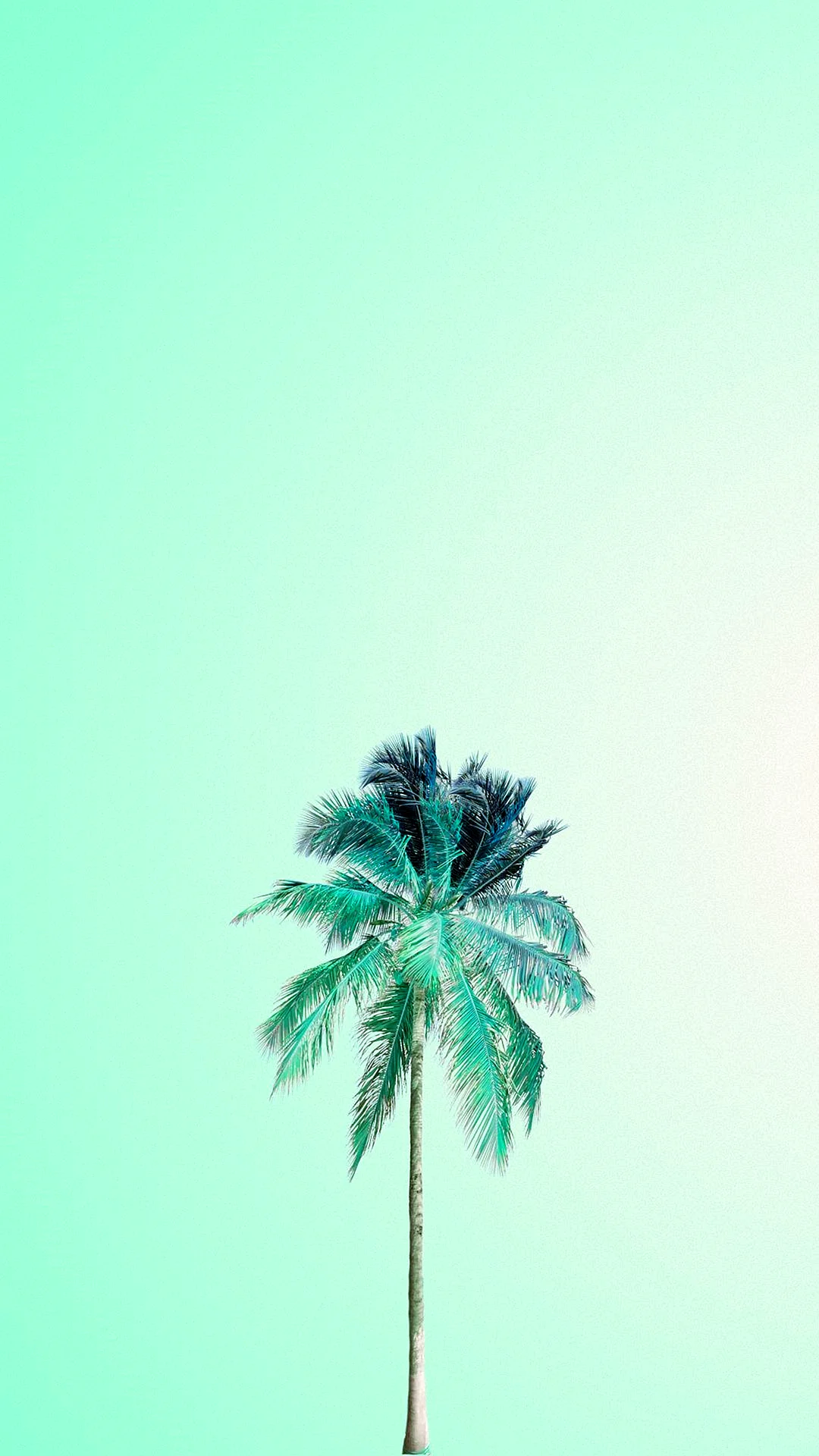 Aesthetic iPhone Wallpaper For iPhone