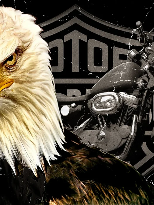 Aguila Harley Davidson Wallpaper