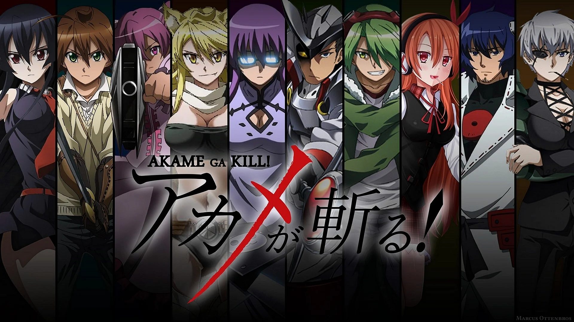 Akame Ga Kill Wallpaper