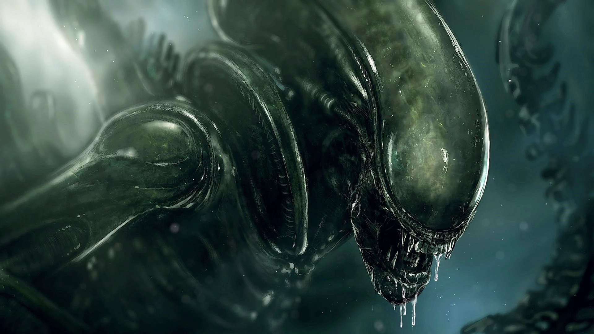 Alien Wallpaper