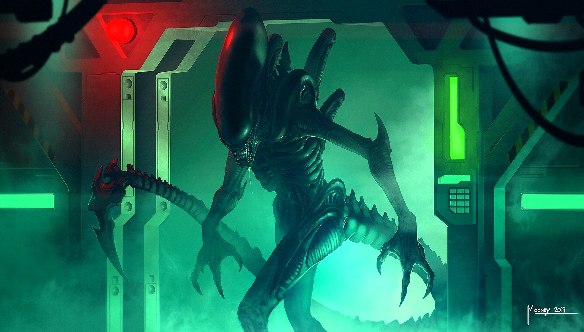 Alien Xenomorph Wallpaper