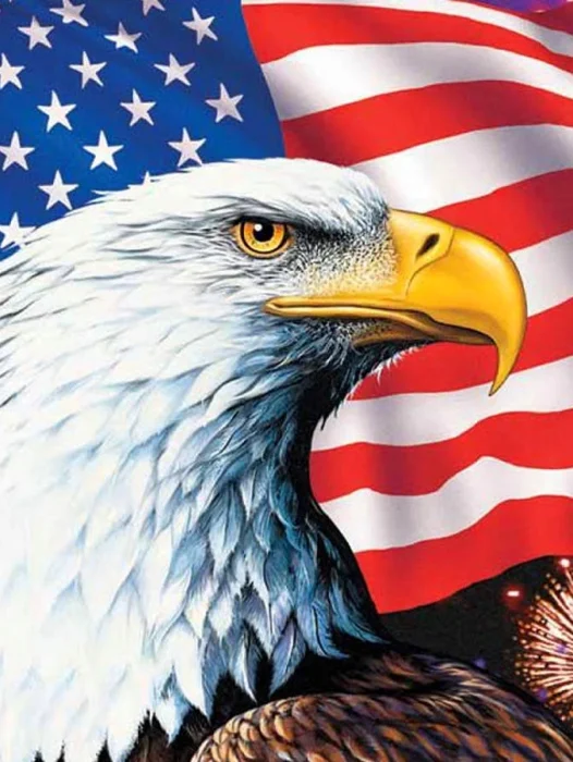 American Eagle Wallpaper