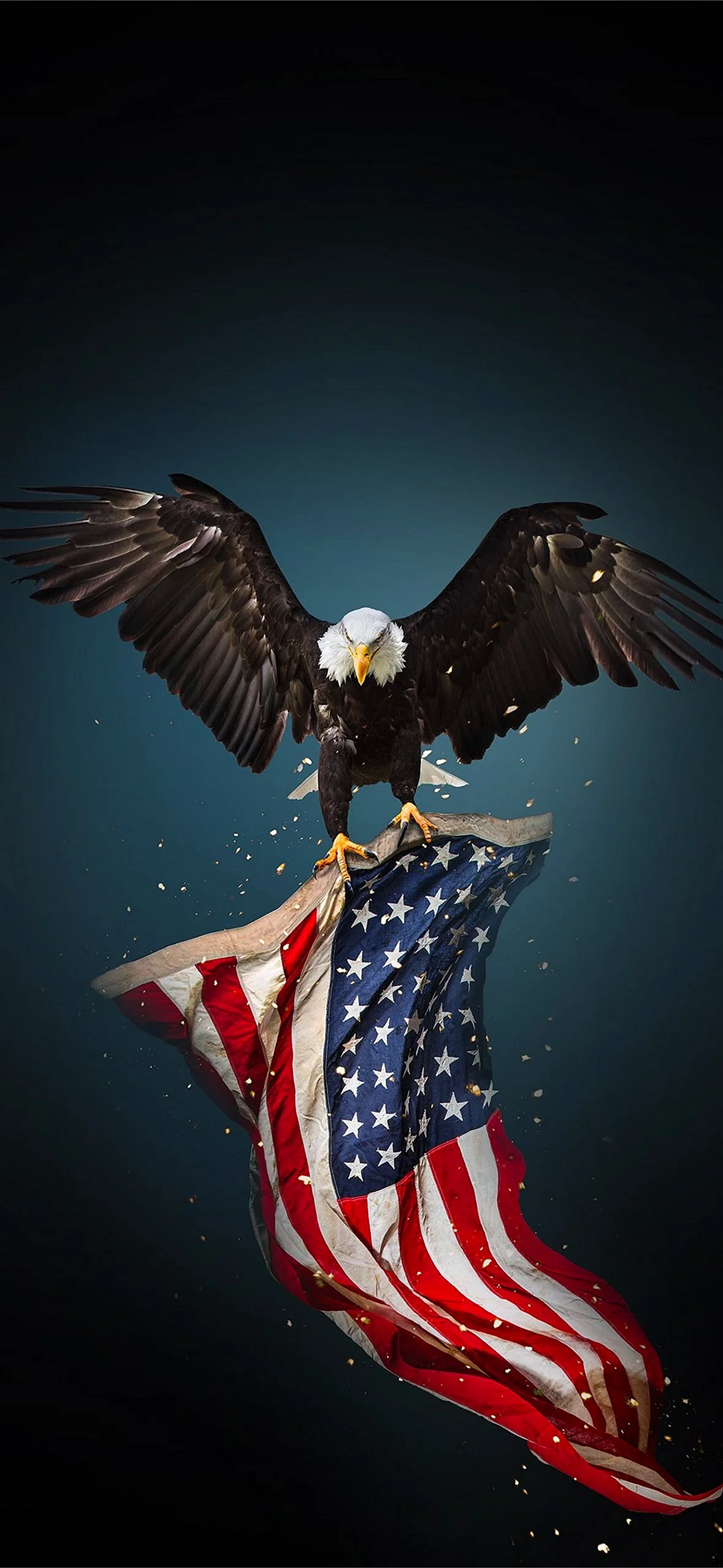 American Eagle Wallpaper for iPhone 14 Pro