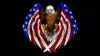 American Flag Eagle Wallpaper