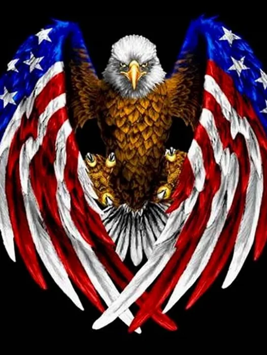 American Flag Eagle Wallpaper