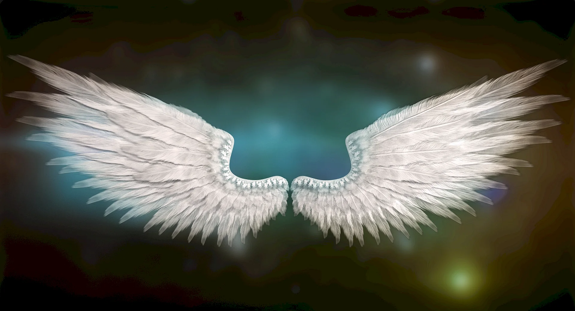 Фф крылья свиты. Крылья ангела. Ангел с крыльями. РАСПРАВЛЕННЫЕ Крылья ангела. Раскрытые Крылья ангела.