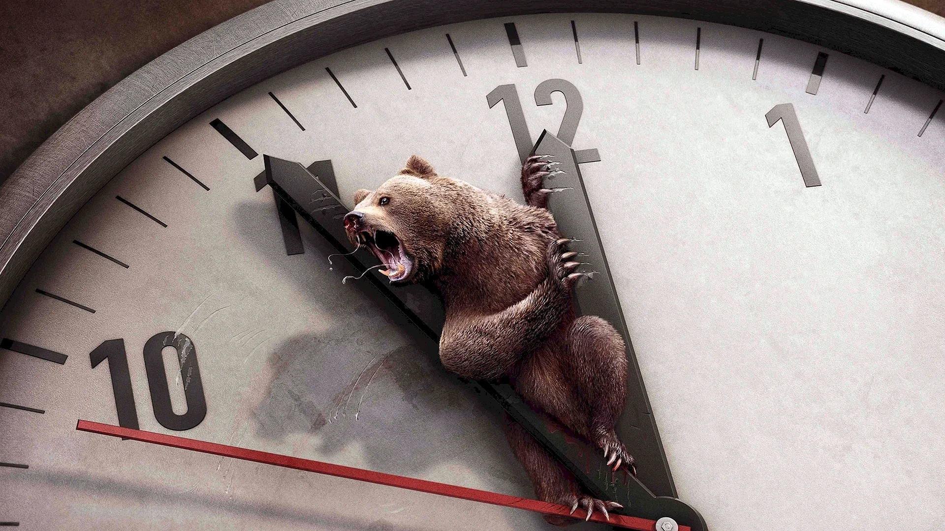 Animal Clock Wallpaper
