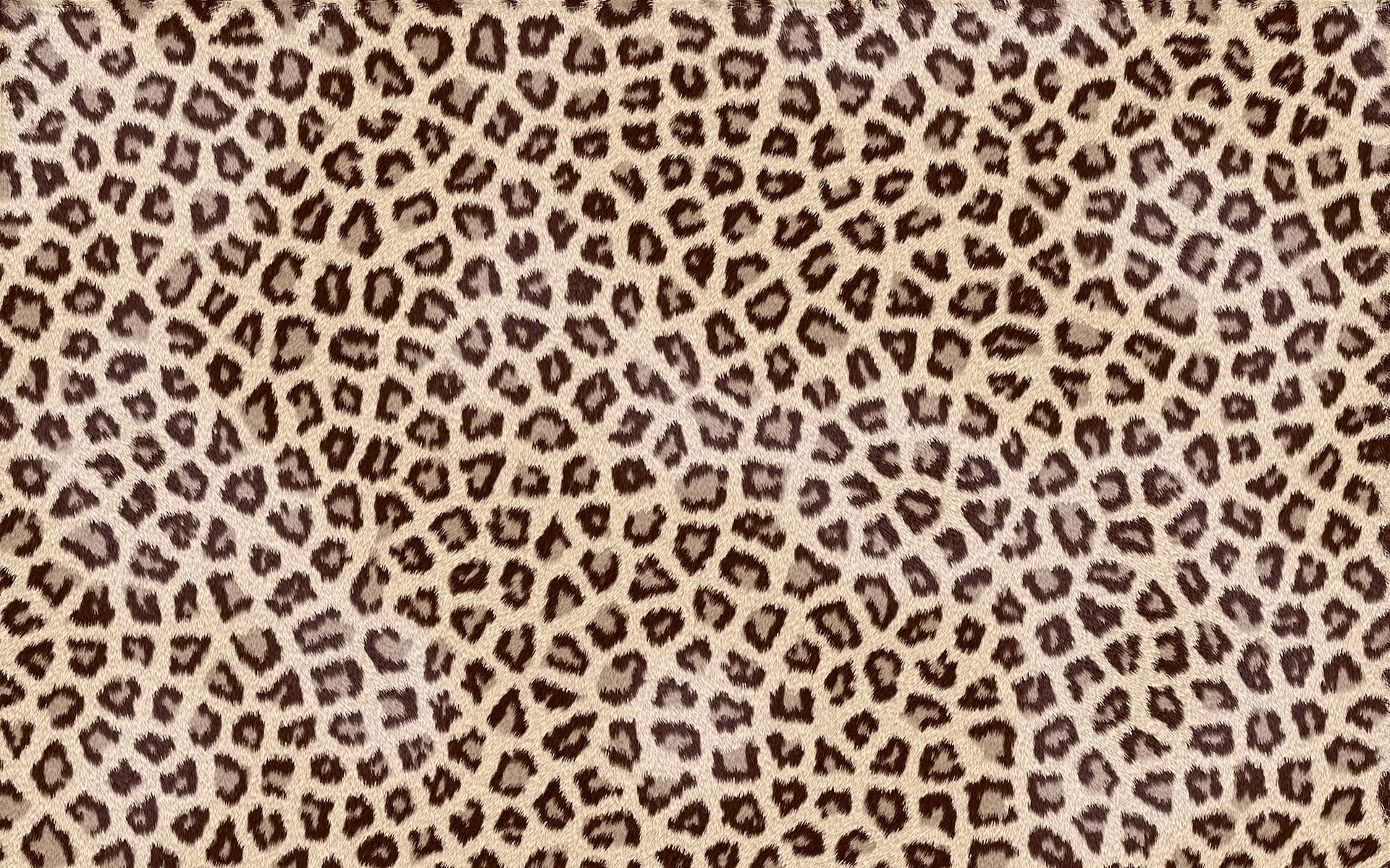 Animal Leopard Print Wallpaper