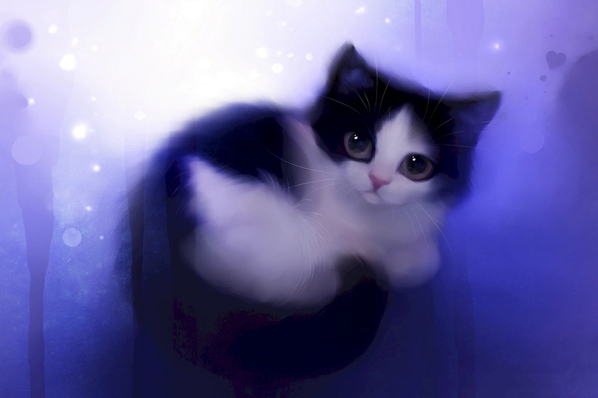 Anime Cat Wallpaper