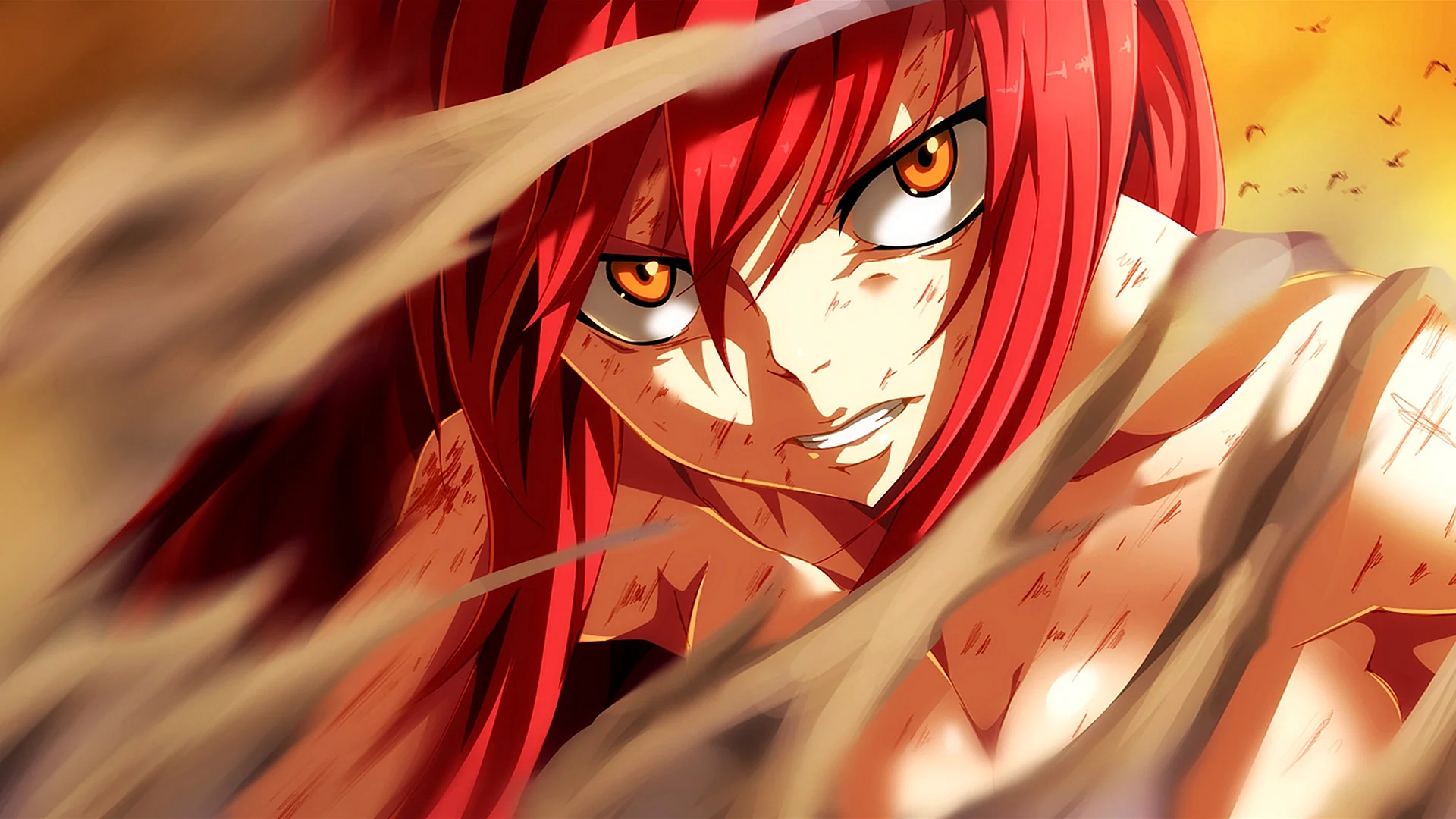 Anime Fairy Tail Erza Scarlet Wallpaper