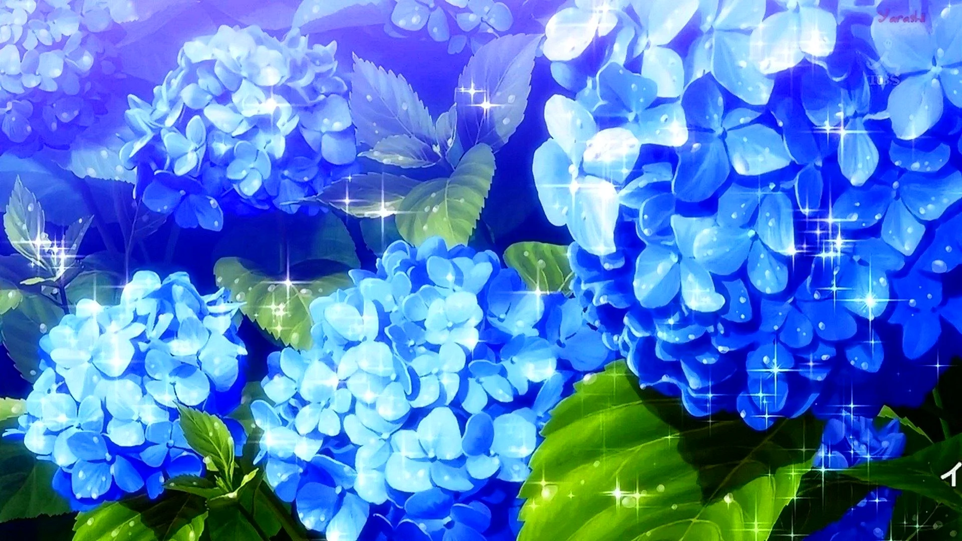 Anime Flower Wallpaper