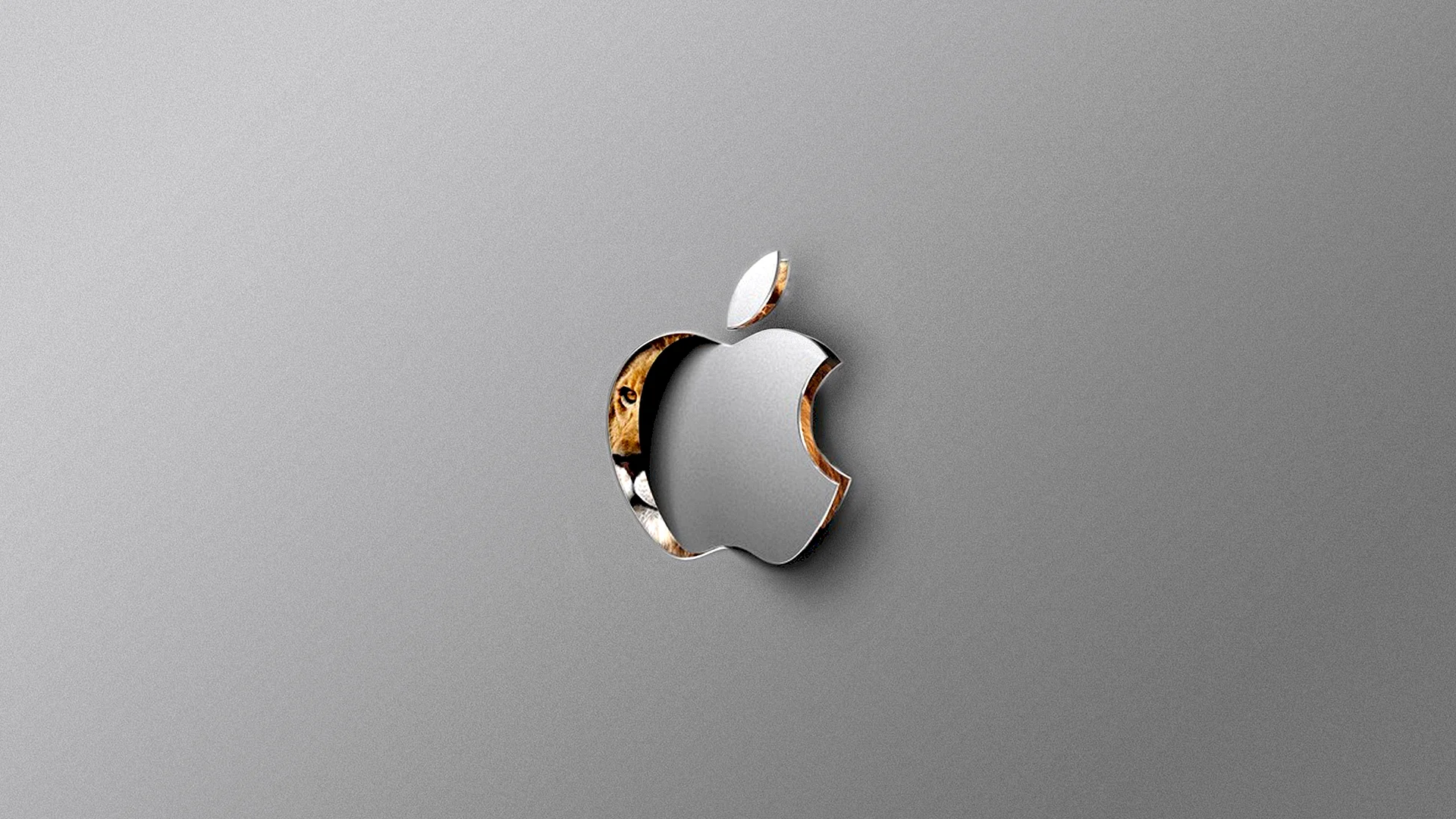 Apple Hd 4k Wallpaper
