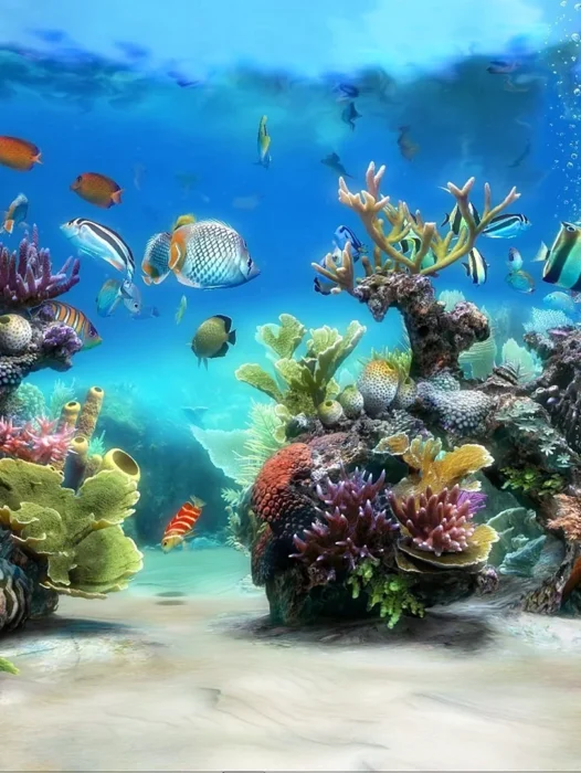 Aquarium 4k Wallpaper