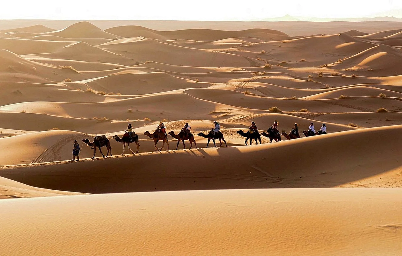 Arabian Desert Wallpaper