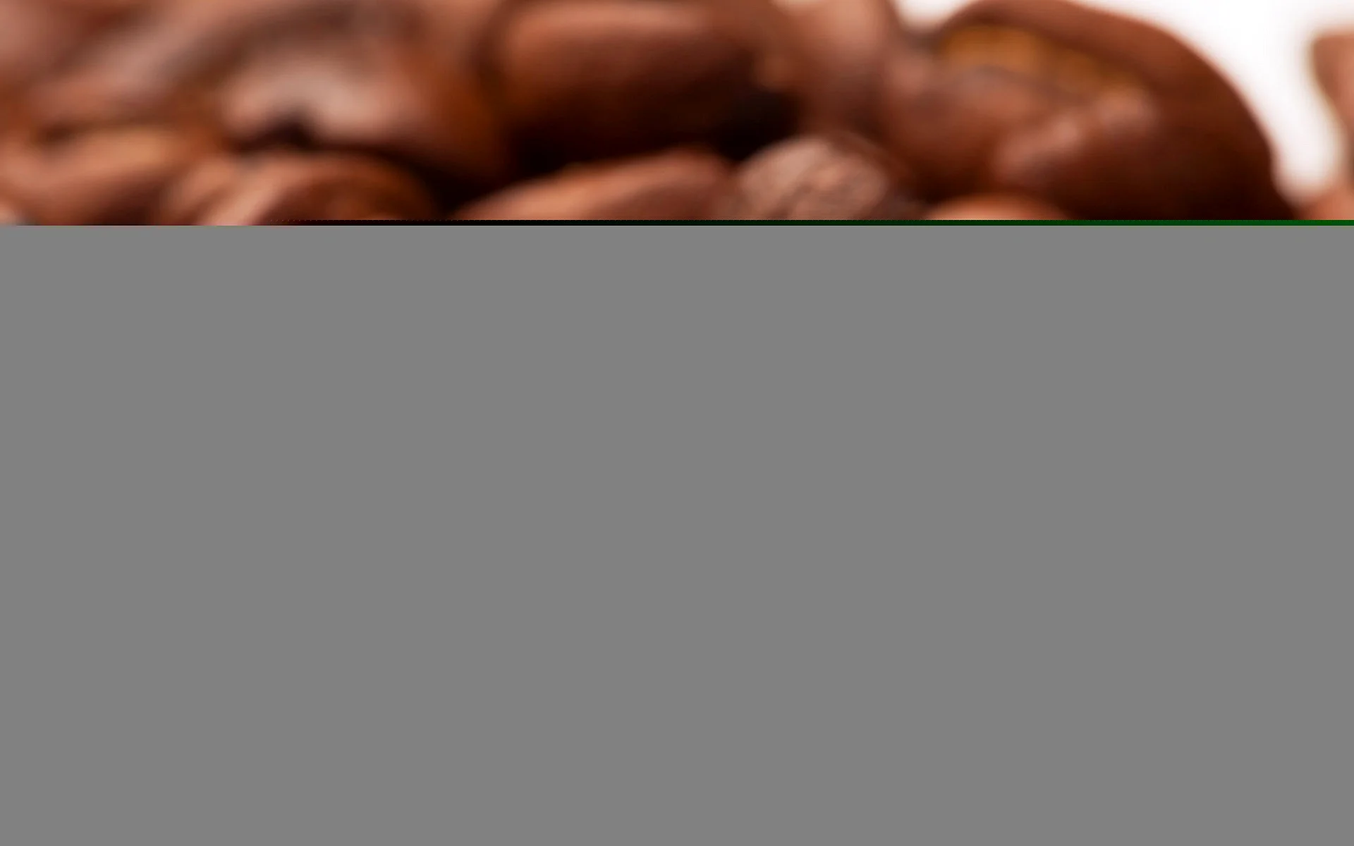 Arabica Coffee Wallpaper