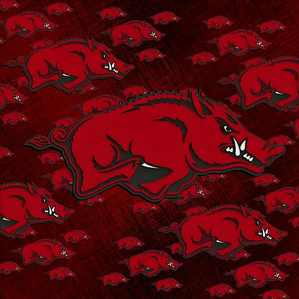Arkansas Razorbacks Logo Wallpaper