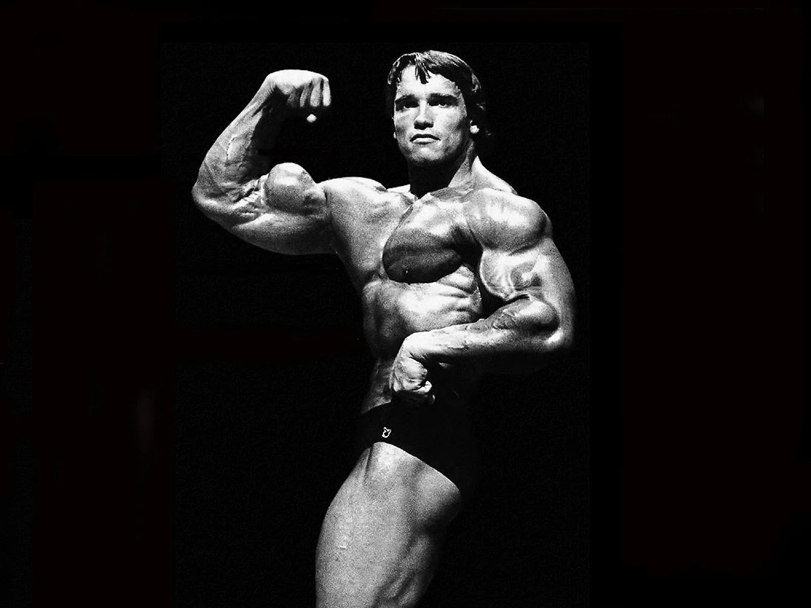 Arnold Schwarzenegger 1992 Wallpaper
