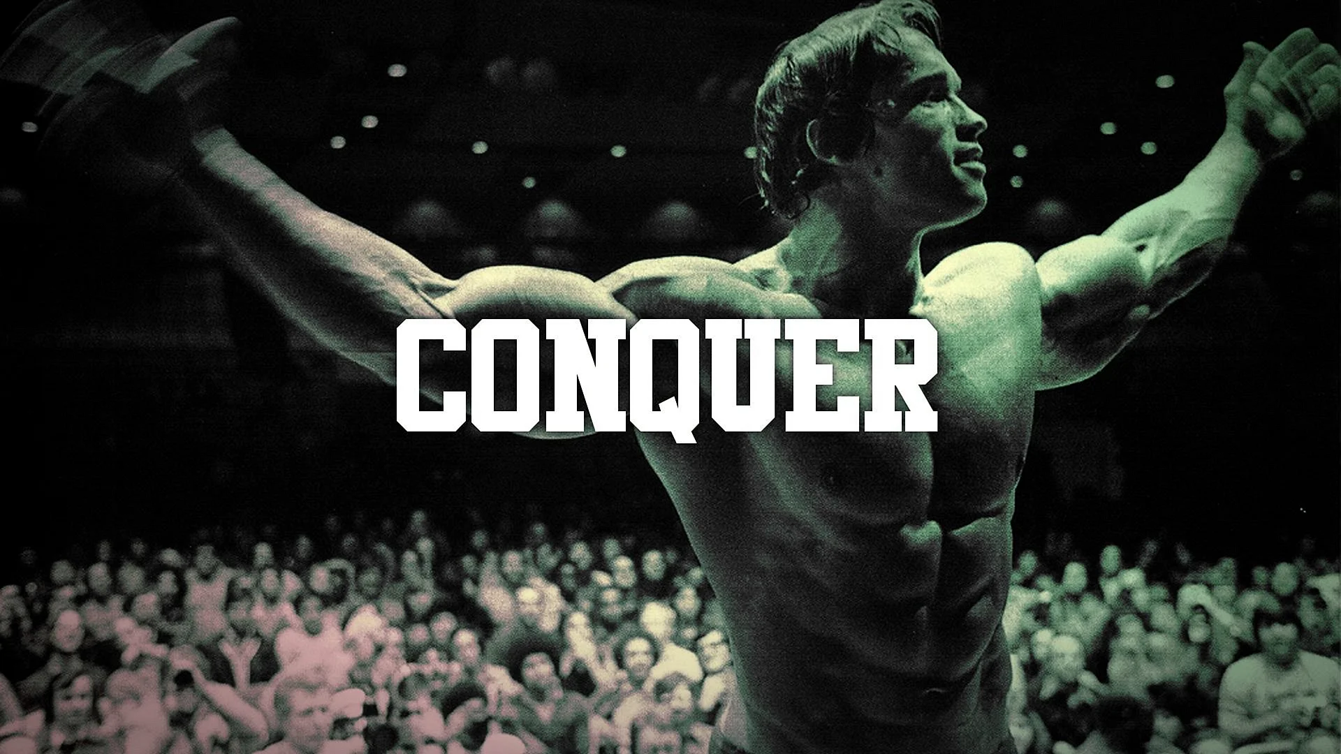 Arnold Schwarzenegger Wallpaper