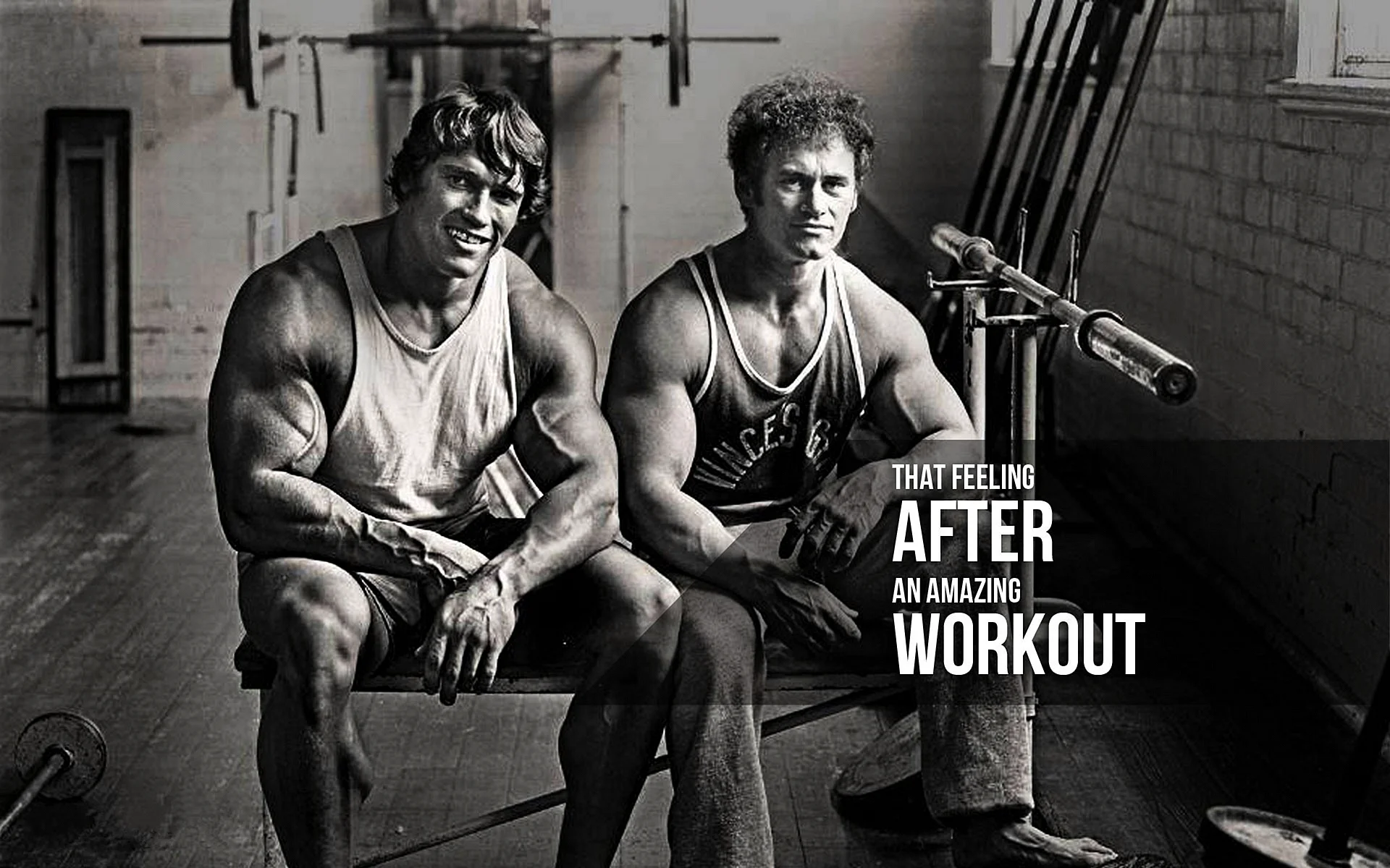 Arnold Schwarzenegger Bodybuilding Wallpaper