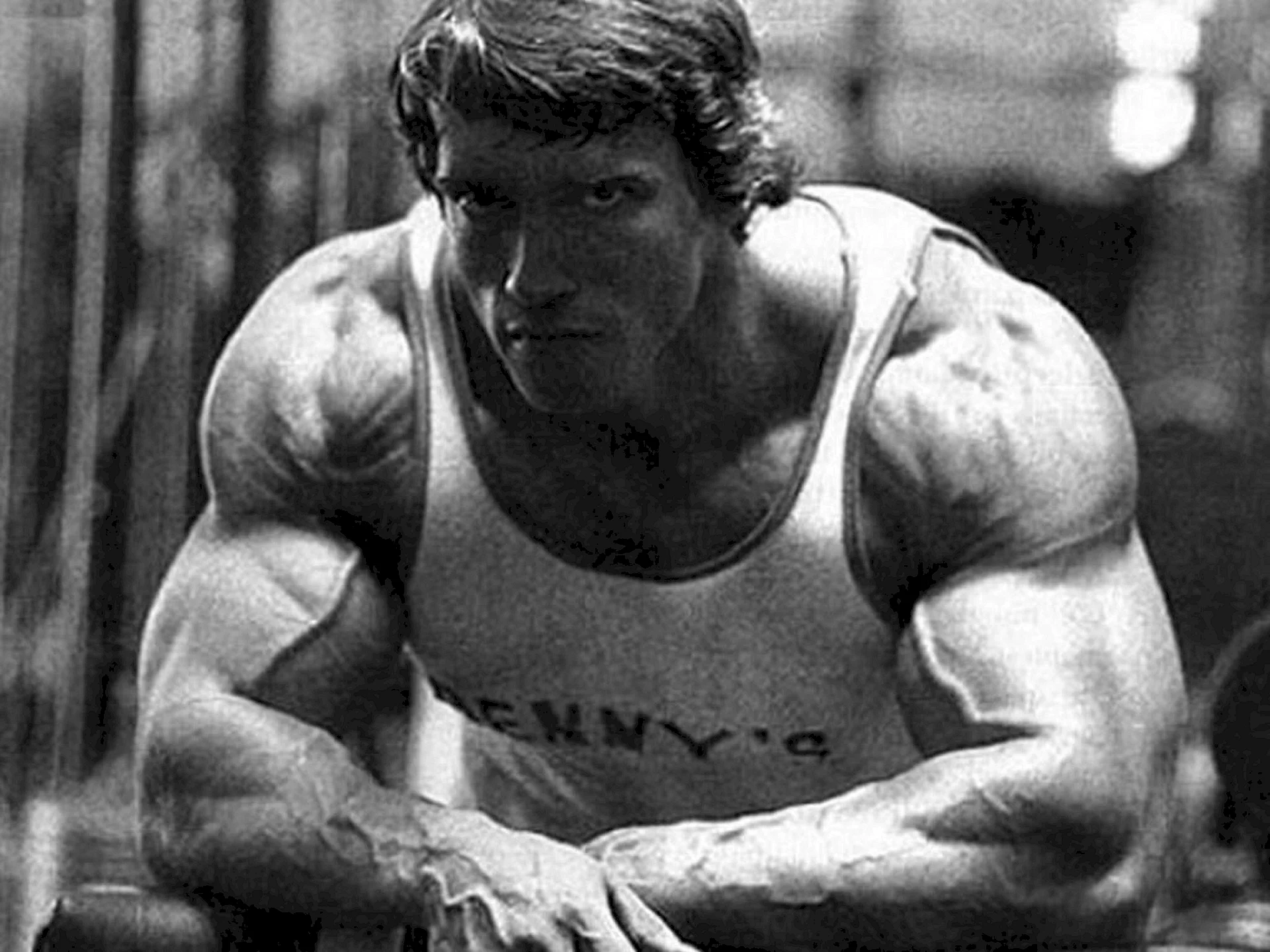 Arnold Schwarzenegger Gym Wallpaper