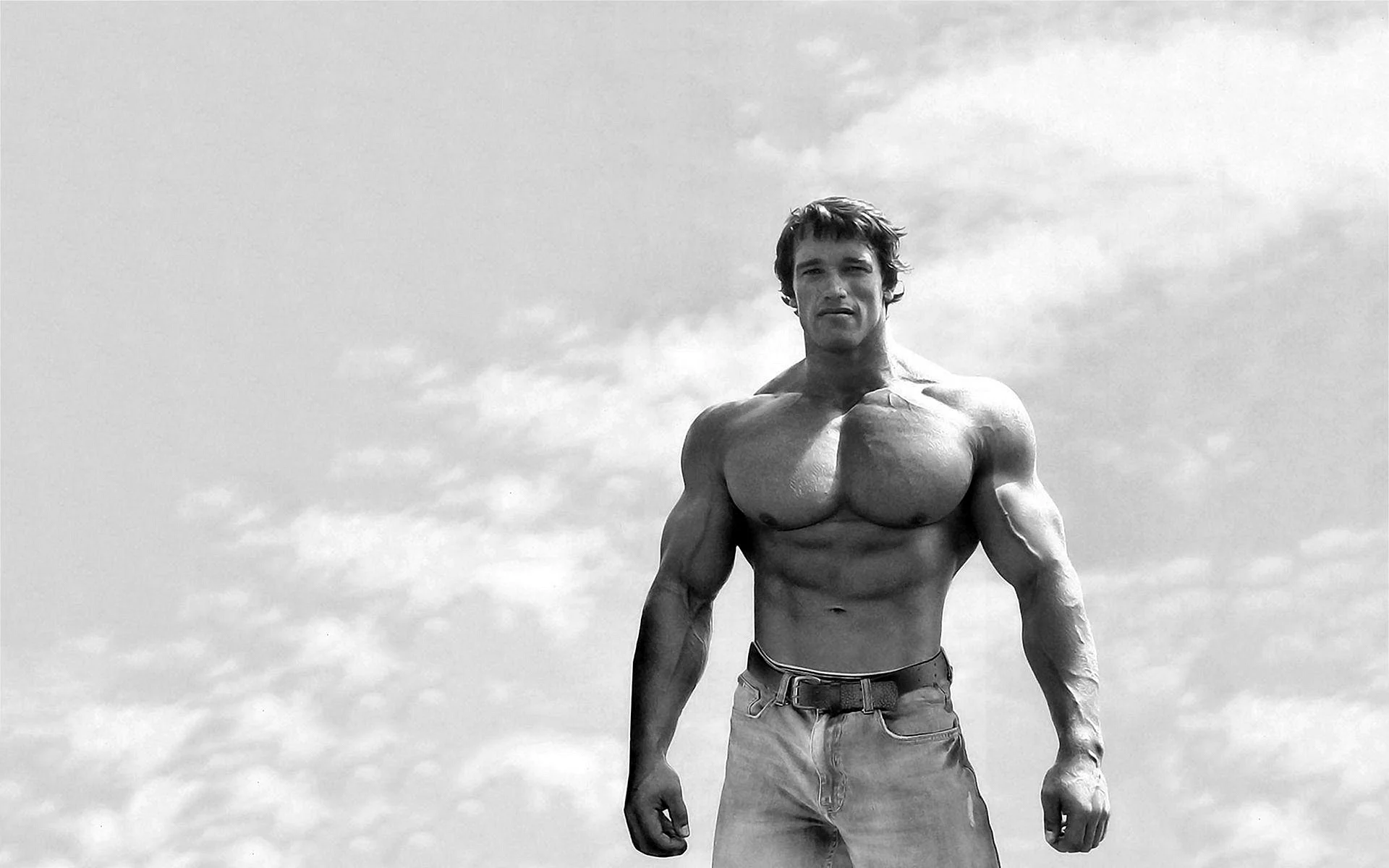 Arnold Schwarzenegger Motivation Wallpaper