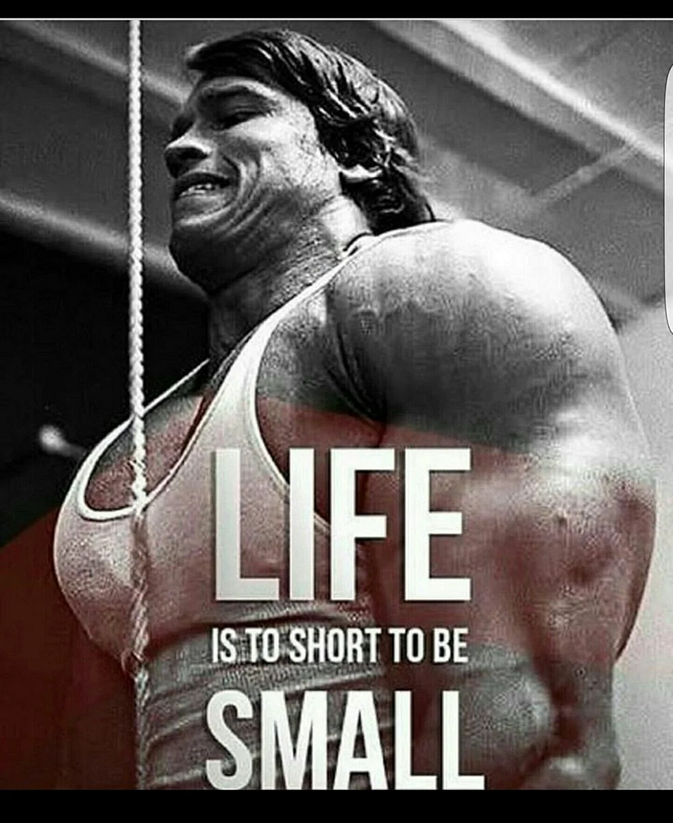 Arnold Schwarzenegger Motivation Wallpaper For iPhone