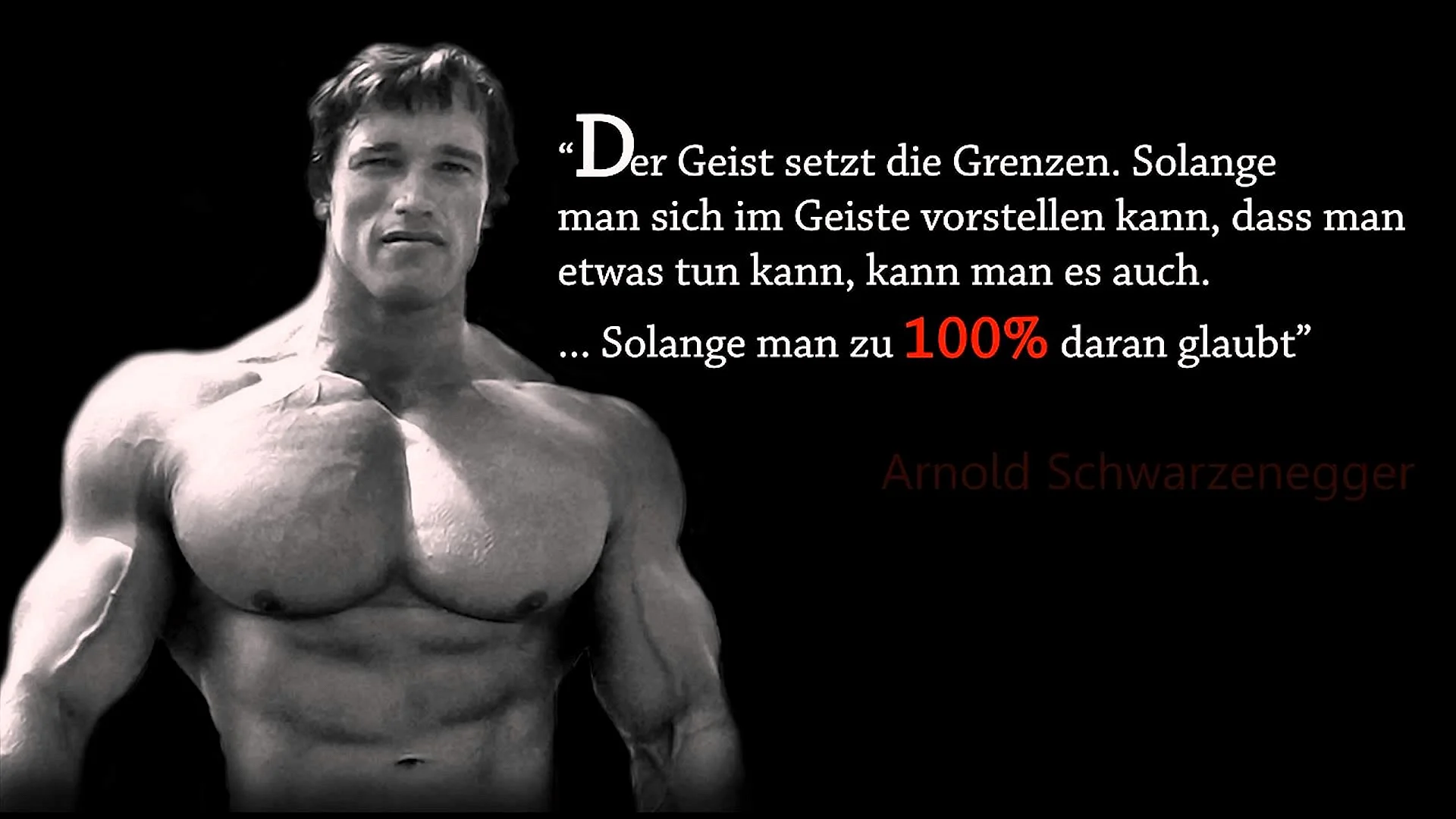 Arnold Schwarzenegger Wallpaper