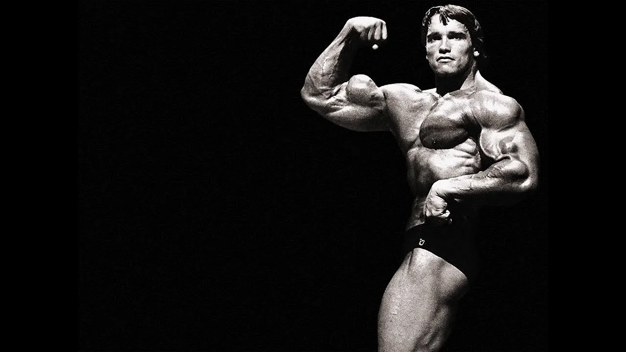 Arnold Schwarzenegger Wallpaper