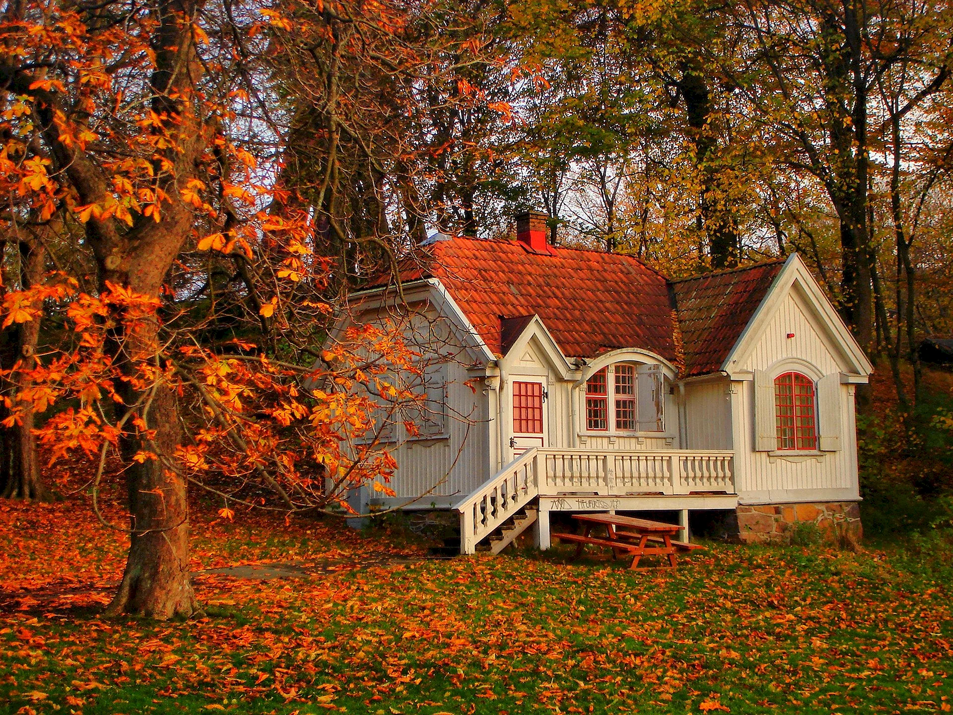 Autumn Wallpaper