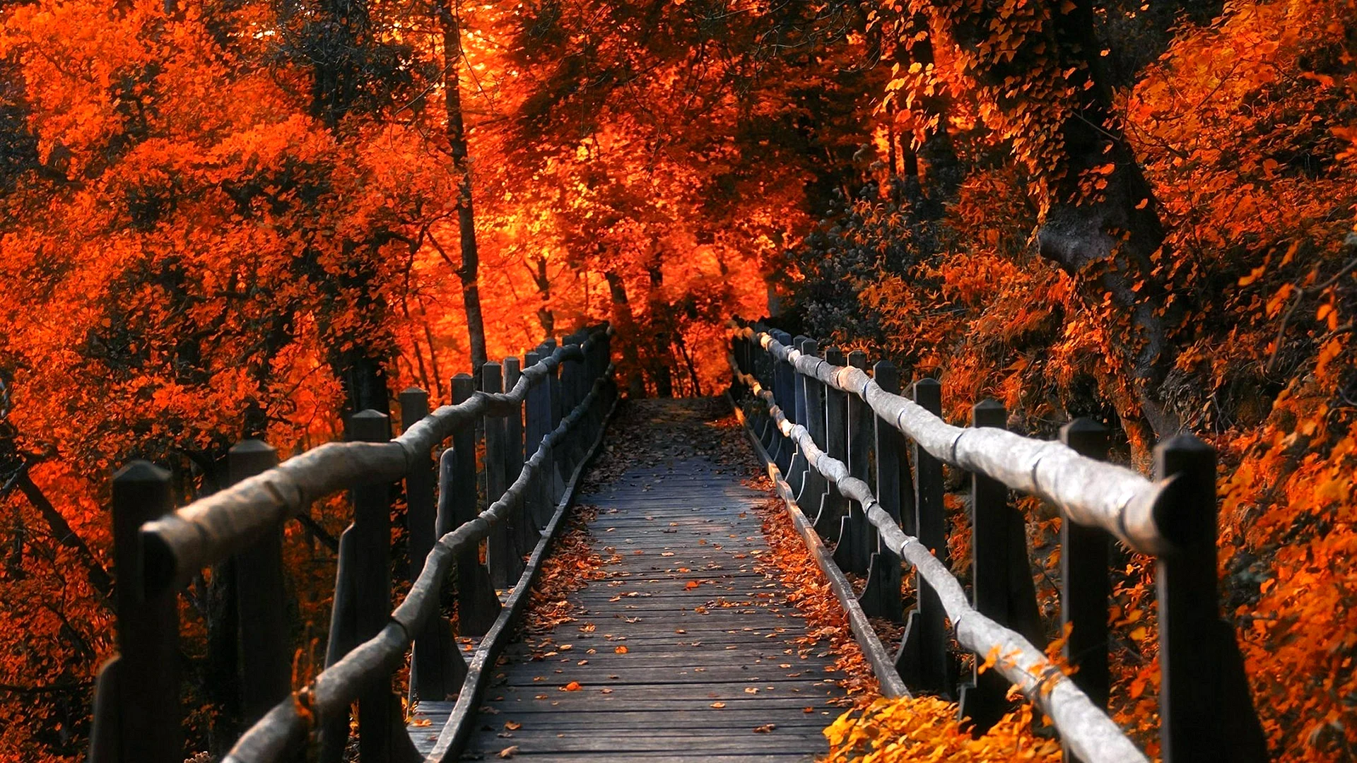 Autumn Aesthetic Wallpaper